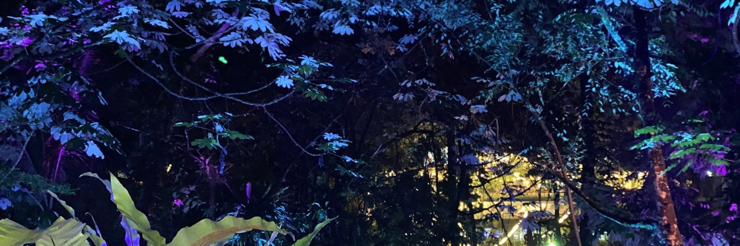 din | unboxing & review banner