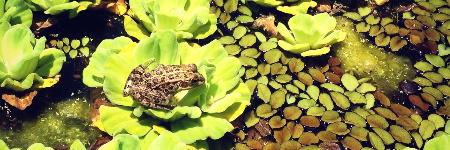 Ratrix ᓚᘏᗢ 🦌 banner