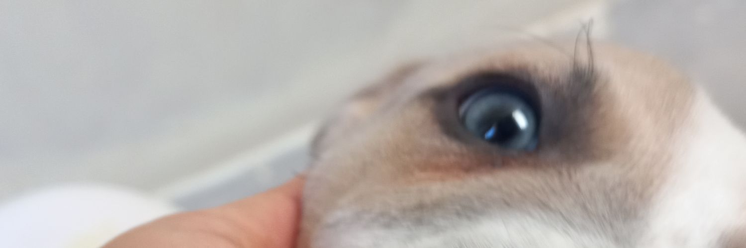 J_Gr_L's profile banner image
