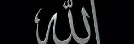 Don Mikhail🇵🇸 banner