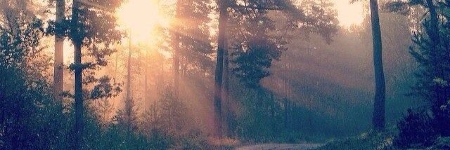 LinneaBjorn's profile banner image