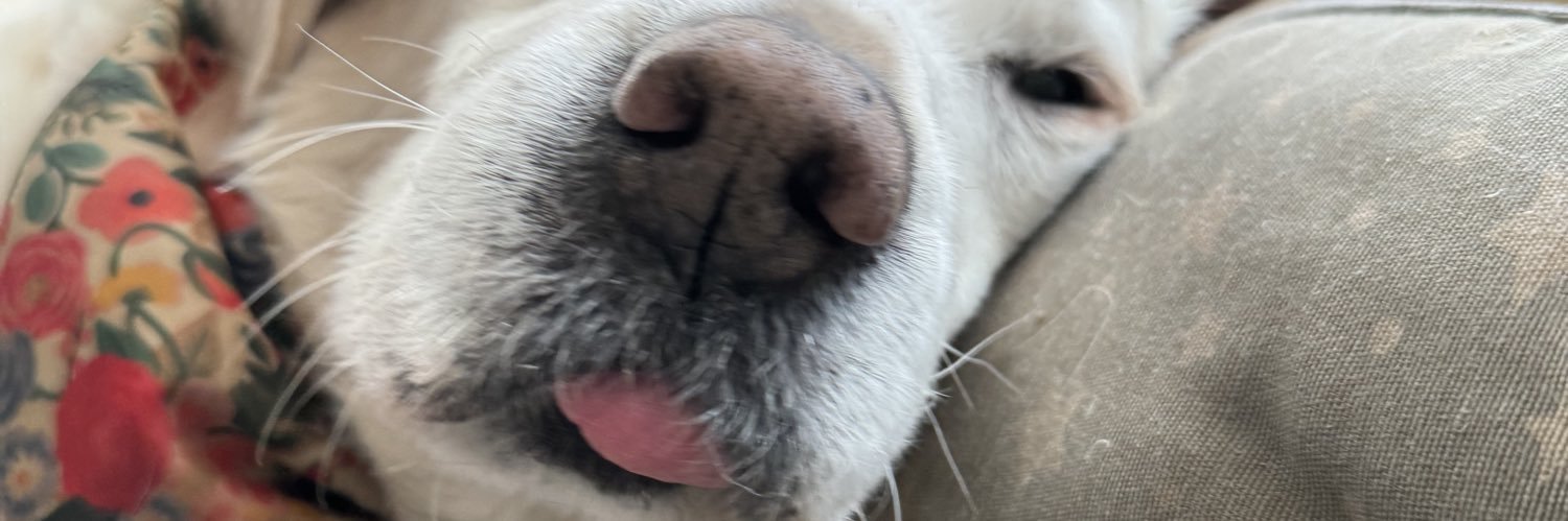 vanemendozz's profile banner image