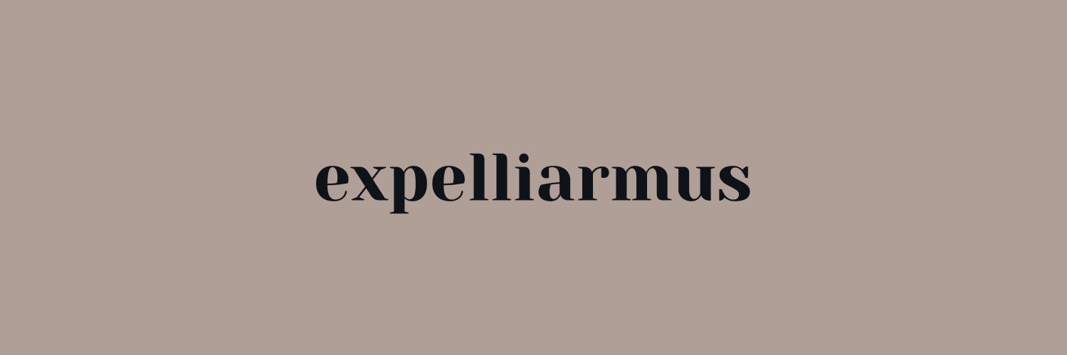 90sgryffindor's profile banner image