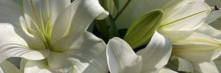 ttubaaaaaa's profile banner image
