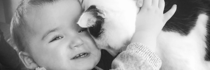 laurajames09's profile banner image