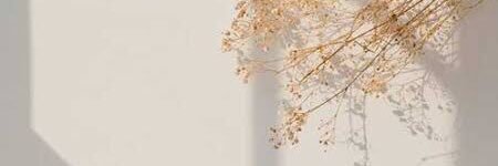 27ACN's profile banner image