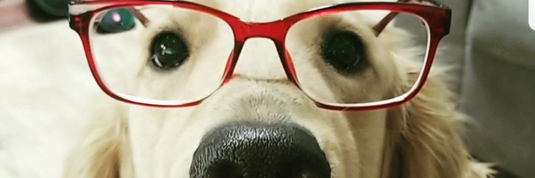 AlyssaSueee's profile banner image