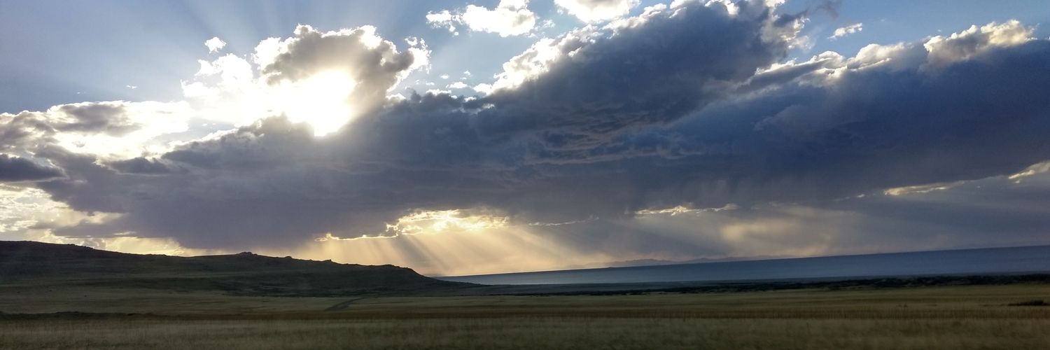 veronicaalba1's profile banner image