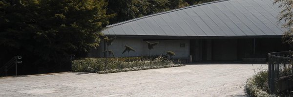 ayumo_ri Profile Banner