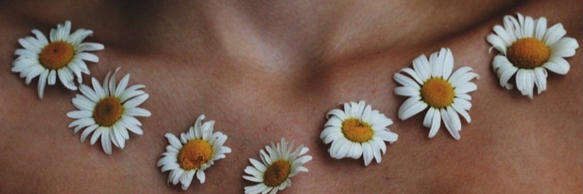 katemoleando's profile banner image
