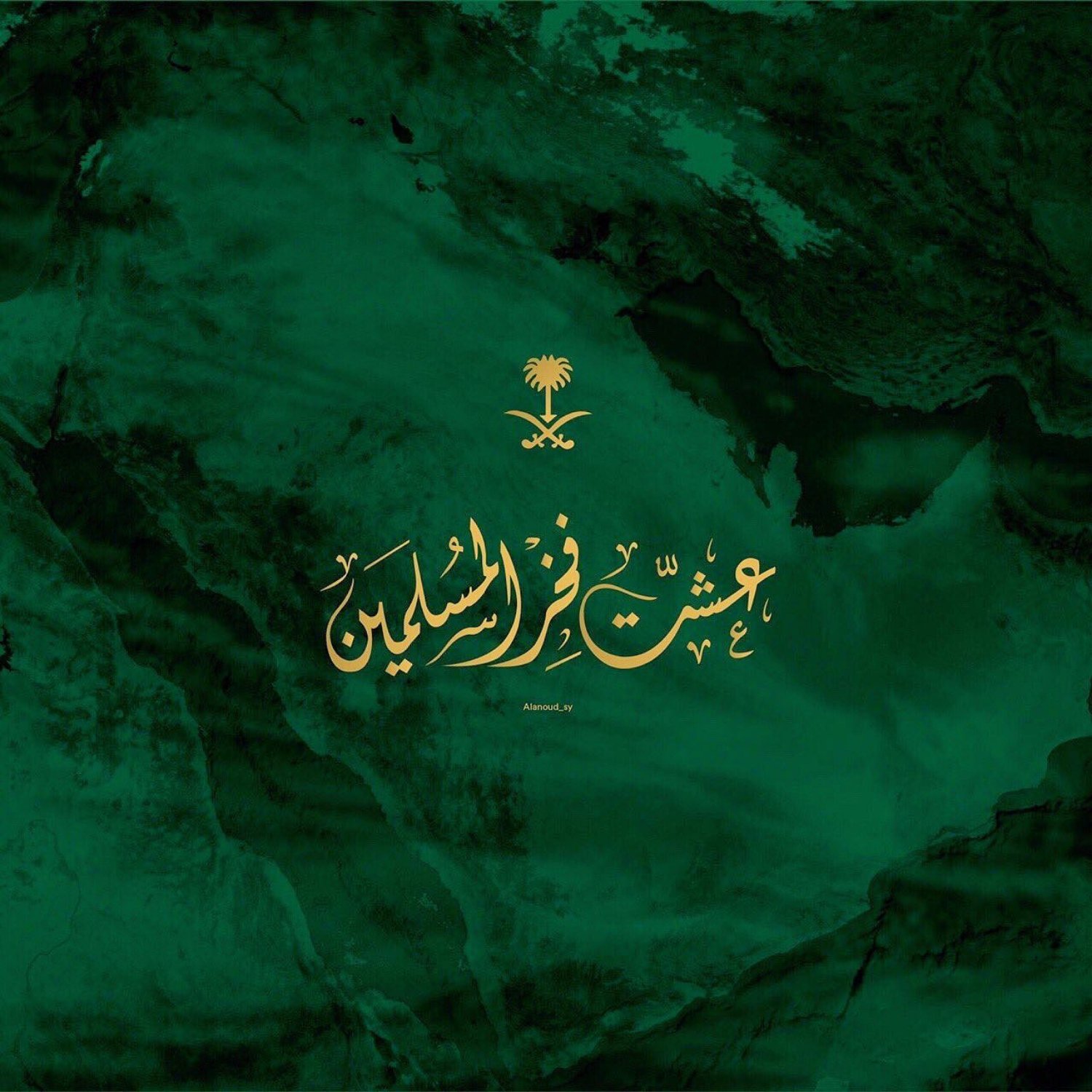 الفرده نيوز banner