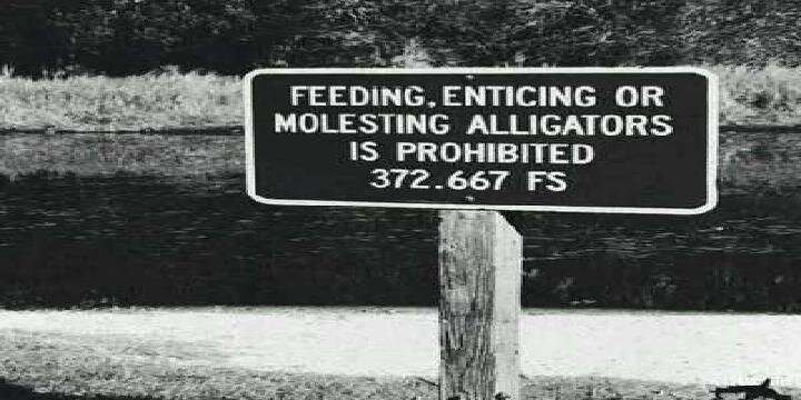 MOusE banner