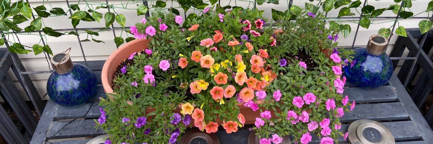 Laura Connors 🌈 🇨🇦 banner