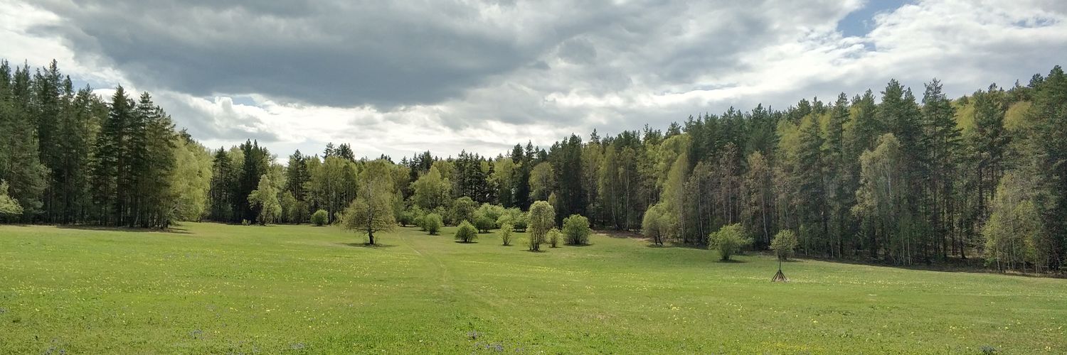 MrSteelHammer's profile banner image
