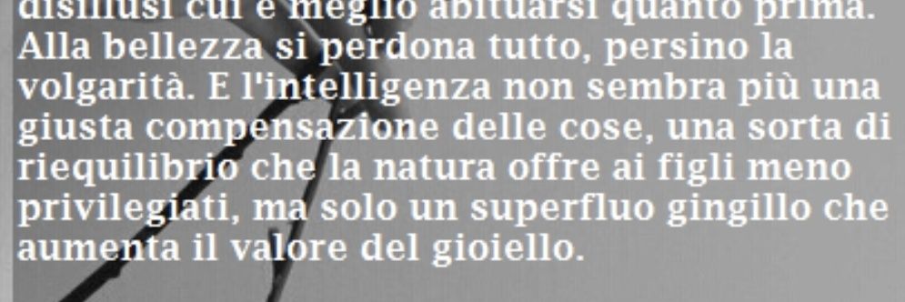 ViolanteLitteram banner