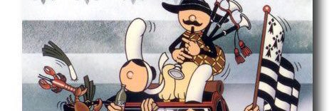 Dolphin Freedom 🐬🐬🐬 banner