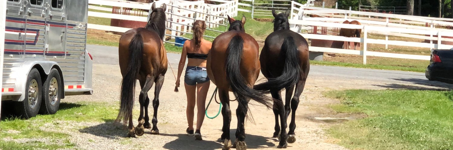 Isobel French banner