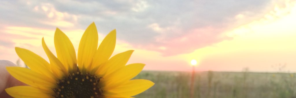 murphytorileann's profile banner image