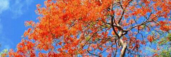 SunilKashyap0 Profile Banner