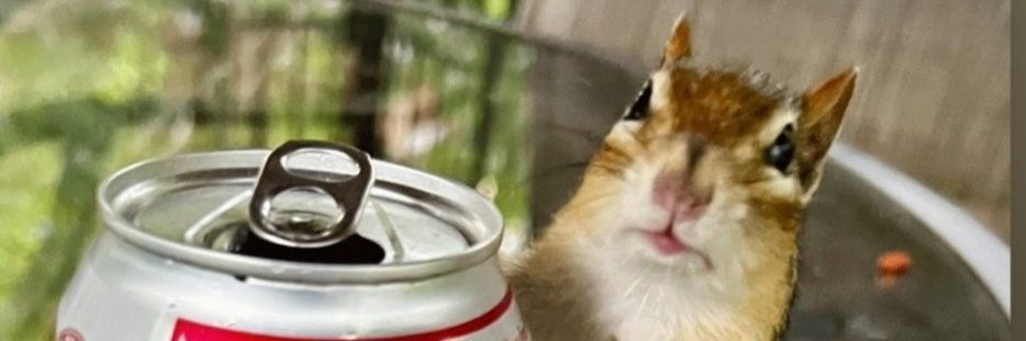roseymurphy's profile banner image