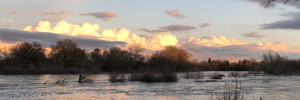 TimRosales Profile Banner