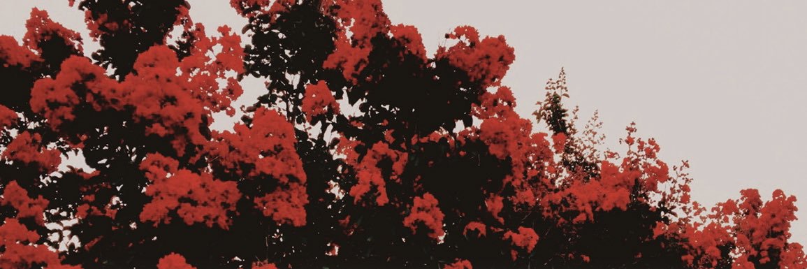 CheyenneLemke's profile banner image