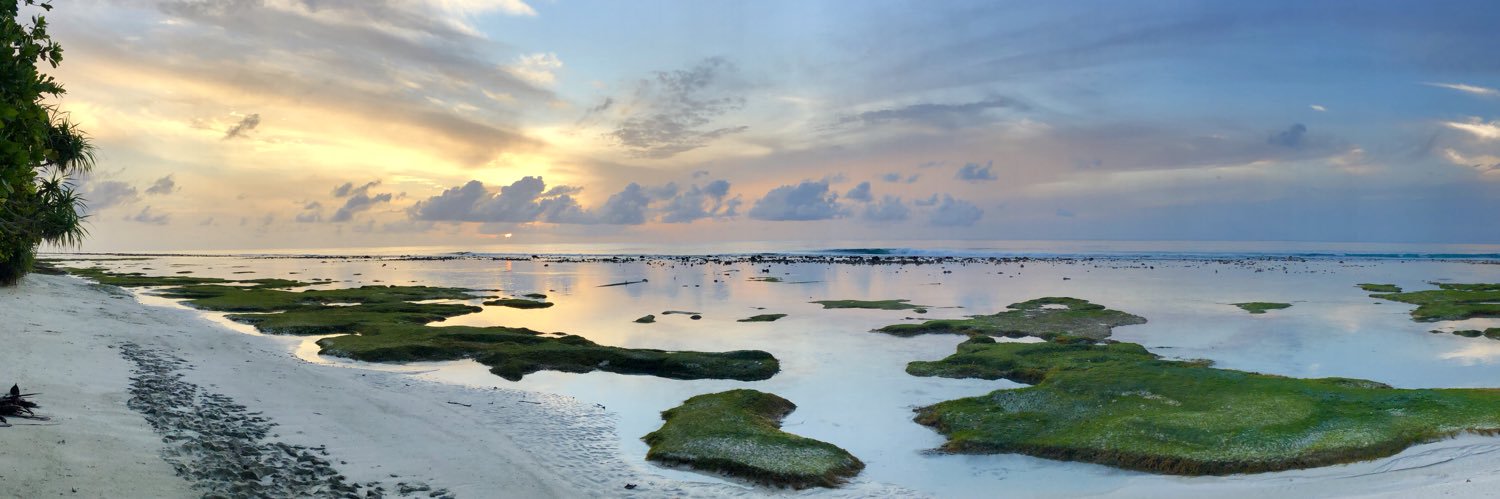 Andrea Bastida banner