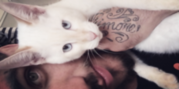 PolloOrgulho's profile banner image