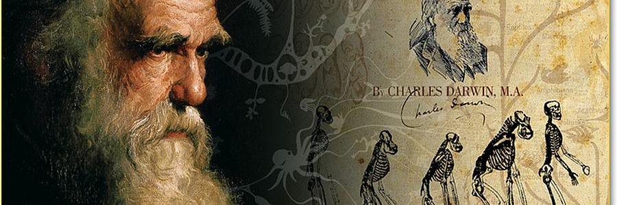 billbillt's profile banner image