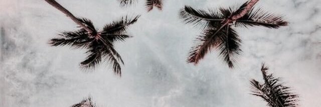 lwhokki banner