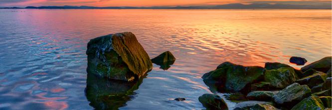 Aaron Lessing banner