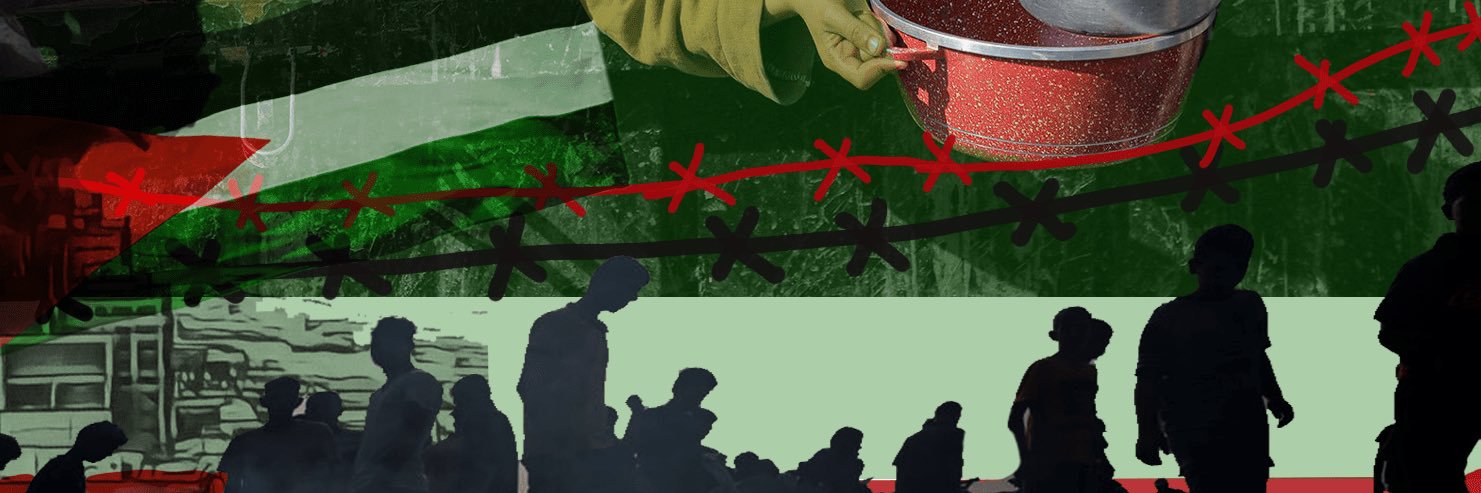 LauColy's profile banner image