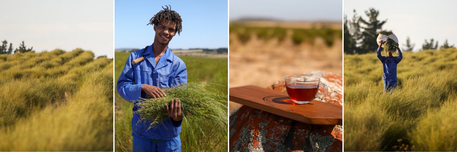 Annique Rooibos banner