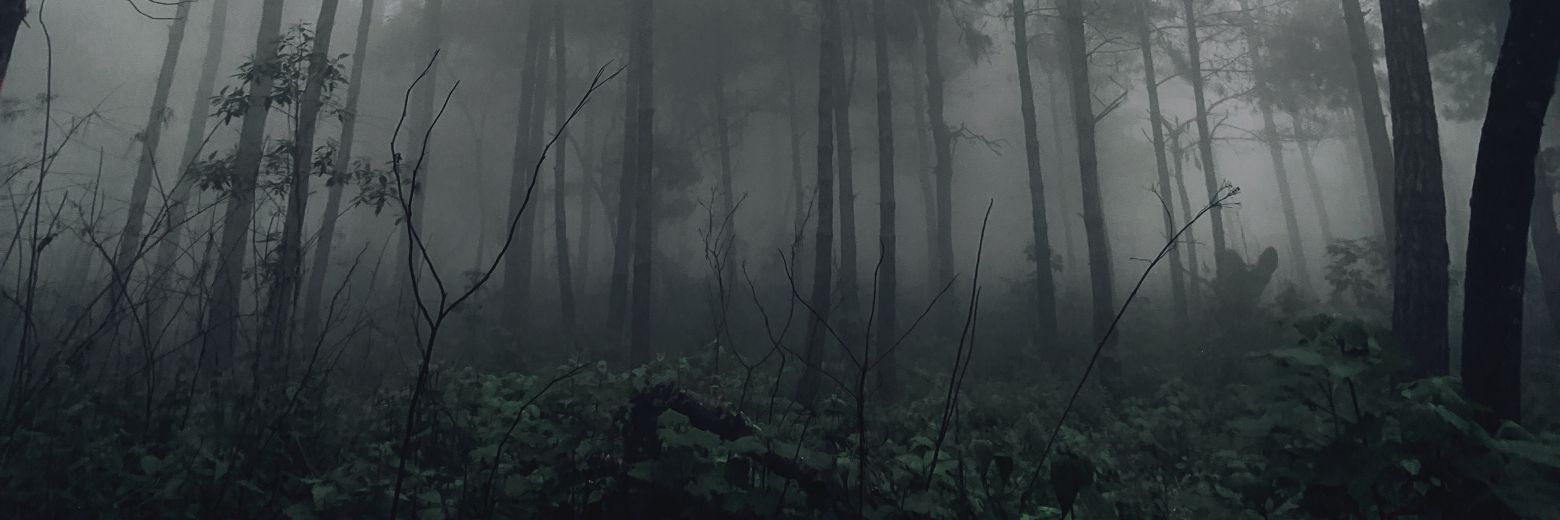Ivanchoos's profile banner image
