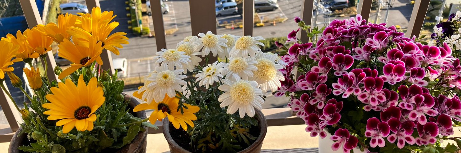 グラハム-トーマス banner