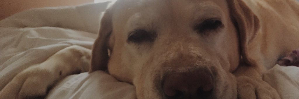 katebumpus_'s profile banner image