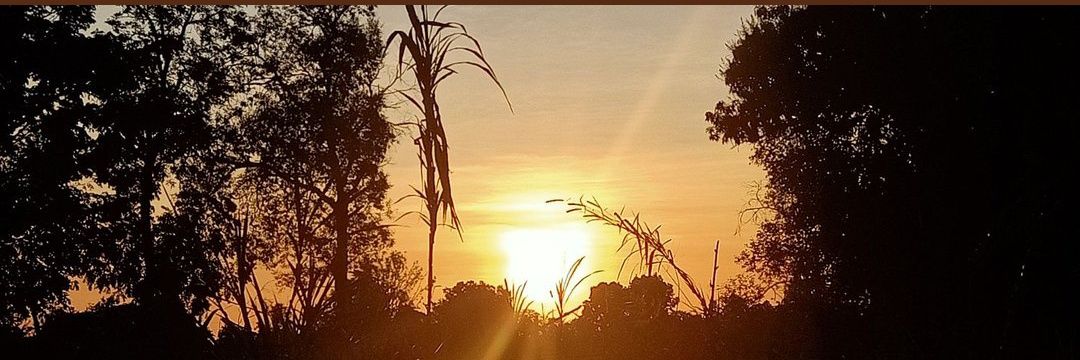 🌻⚽Pat 9698 🍀Fan Account banner