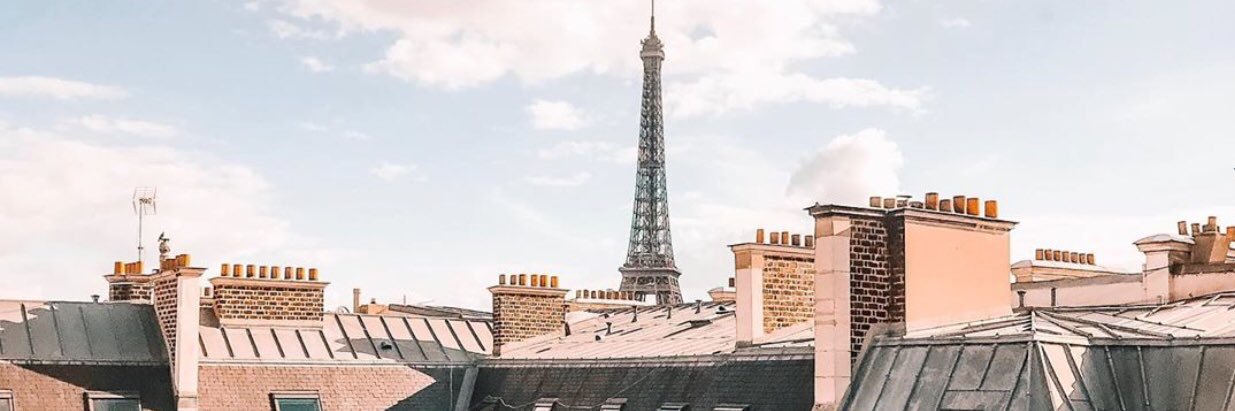 Suz banner