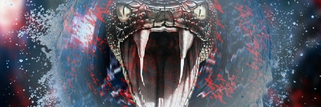 VIVAROTA's profile banner image