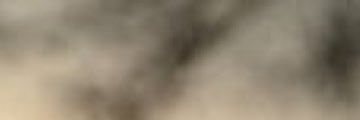 ree77aab's profile banner image
