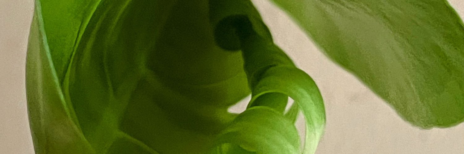 Ender Bonnet @enbonnet banner