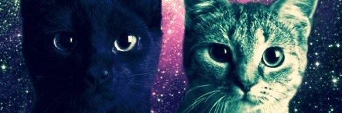 blueza66 banner