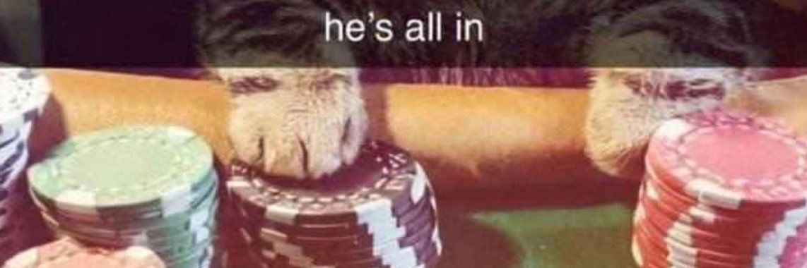 WeGettingFooled banner