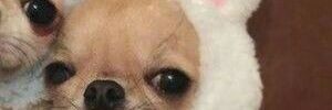 XimeMagali's profile banner image