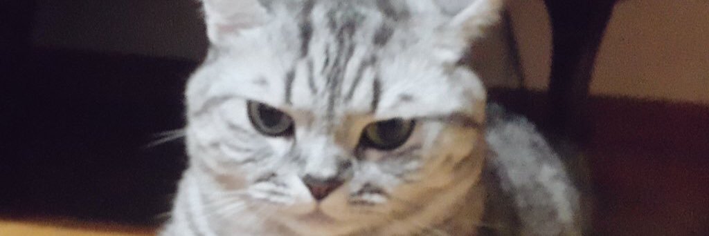 pledsss's profile banner image