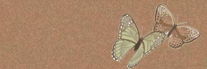 nshnahsh's profile banner image
