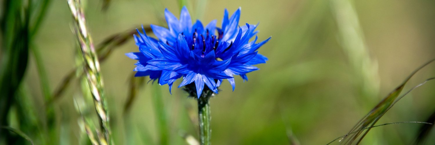 EarthCharterNL's profile banner image