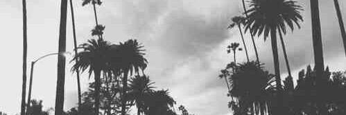 MakaylaDoherty's profile banner image