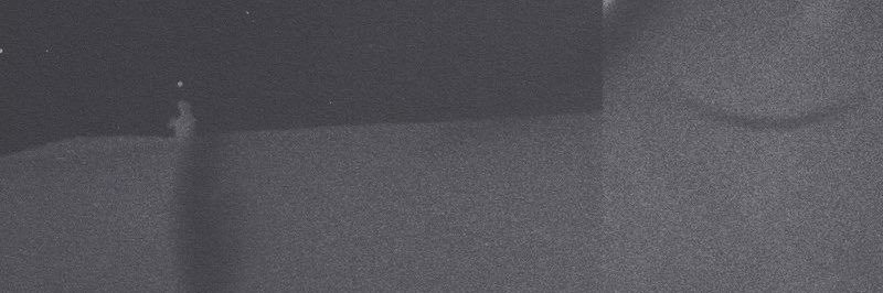 young prisms banner