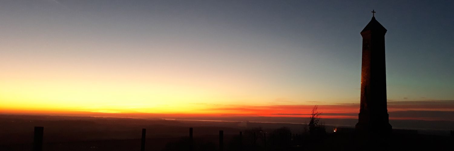 Kim Blaze, Buzz & Bolt🐾 banner